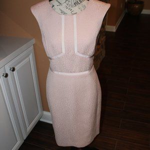 Mauve Sleeveless Textured Sheath